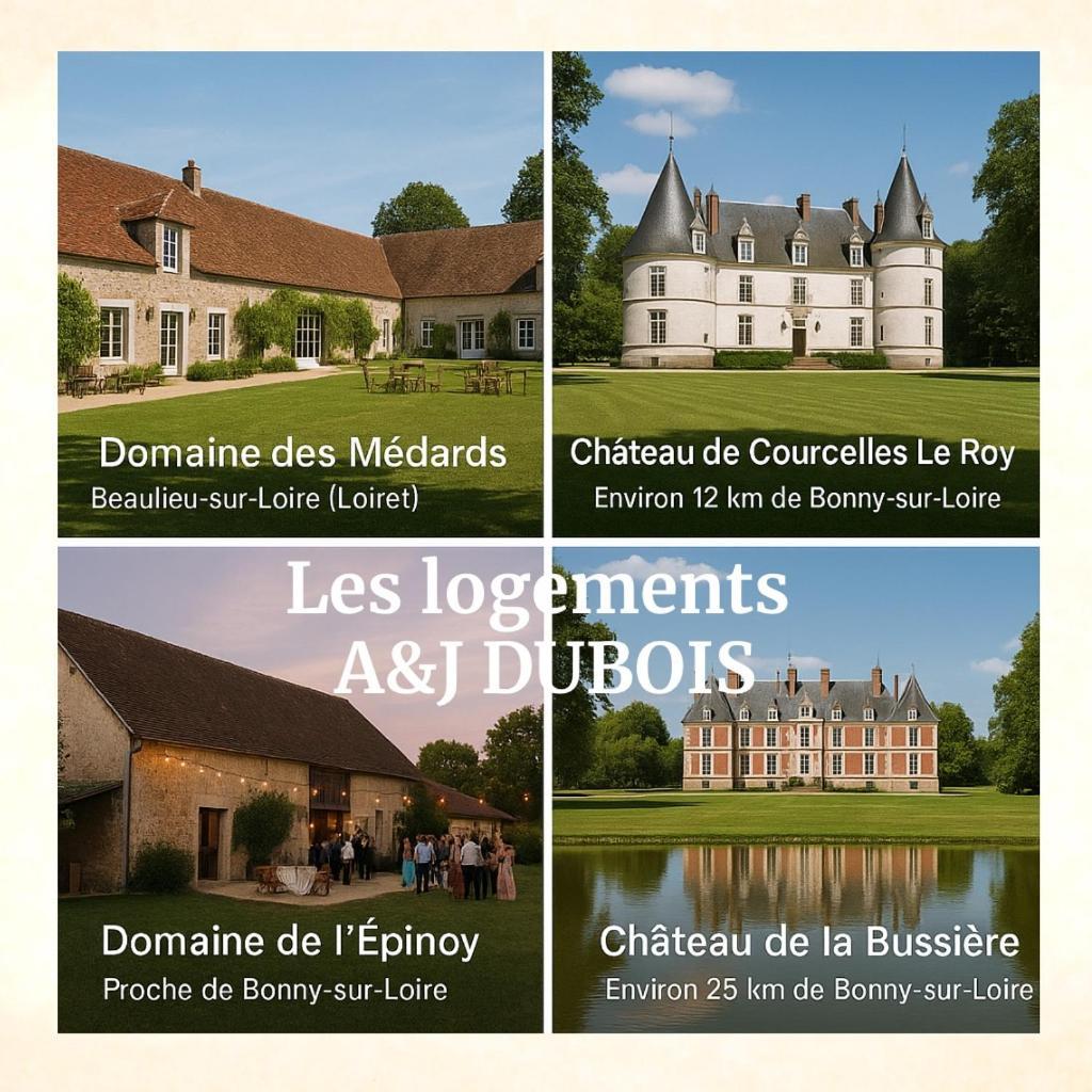 A&Jduplex - Bonny Sur Loire - Chateaux De Guedelon - Pont Canal Luaran gambar